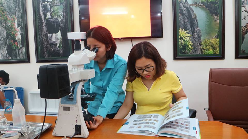 Trainees were testing the samples via microscope