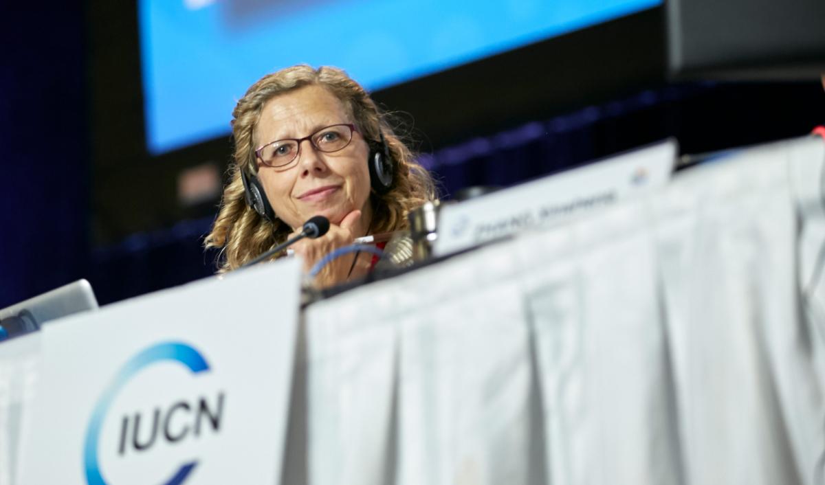 IUCN Director General Inger Andersen at the Members' Assembly during the IUCN World Conservation Congress 2016