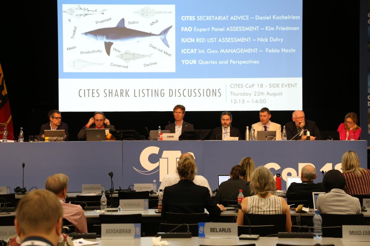 CITES Shark Listing Discussions, Geneva, 22 August 2019