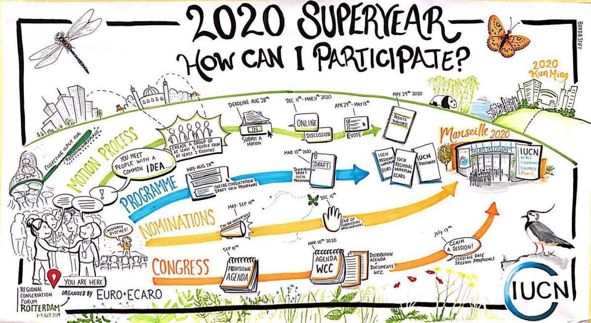 2020 superyear drawing