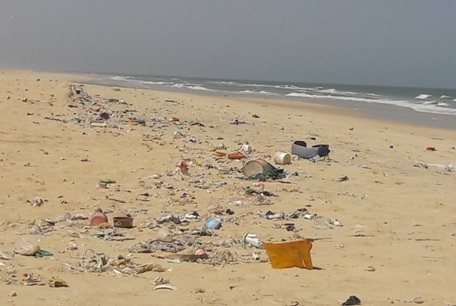 Laisses de mer sur le territoire de l’AMP (en majorité des déchets plastiques)