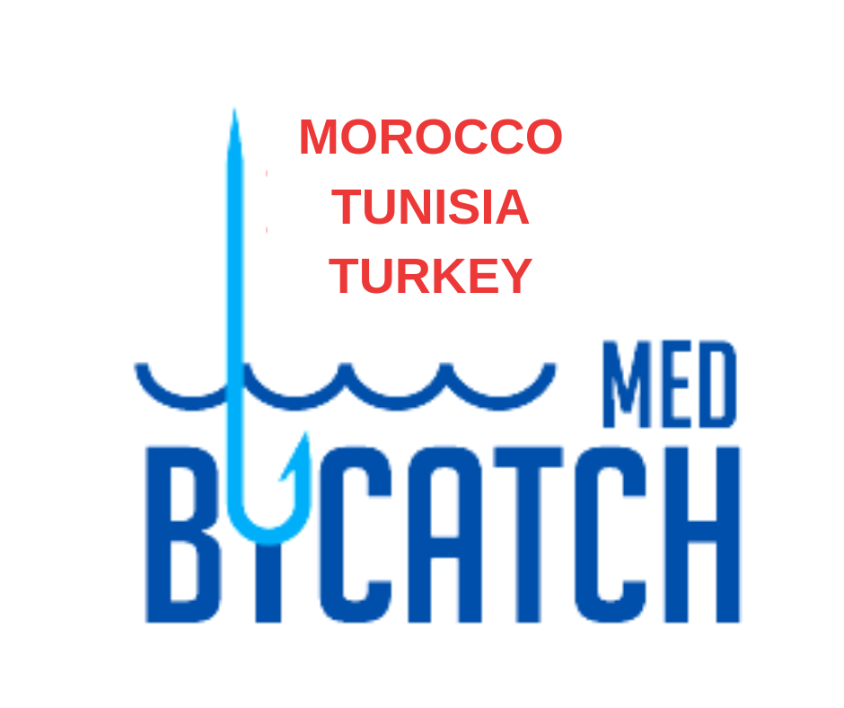 med bycatch project