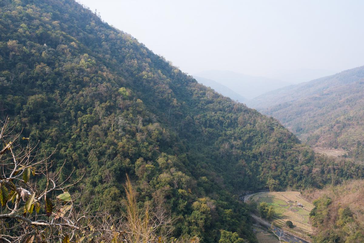 Nagaland landscape