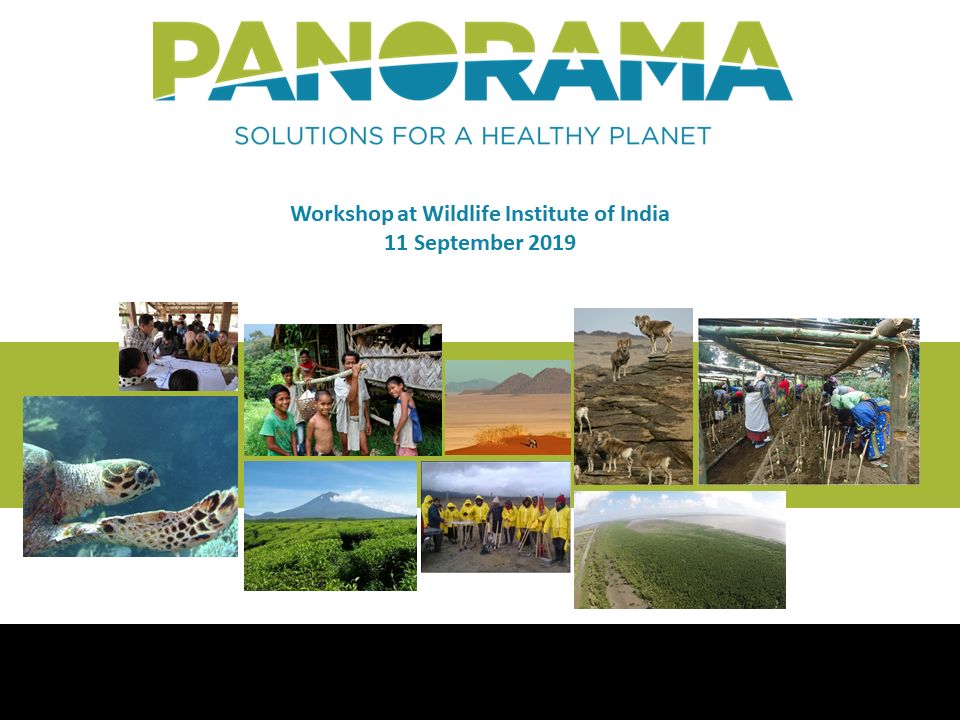 Wildlife Institute of India welcomes IUCN PANORAMA workshop