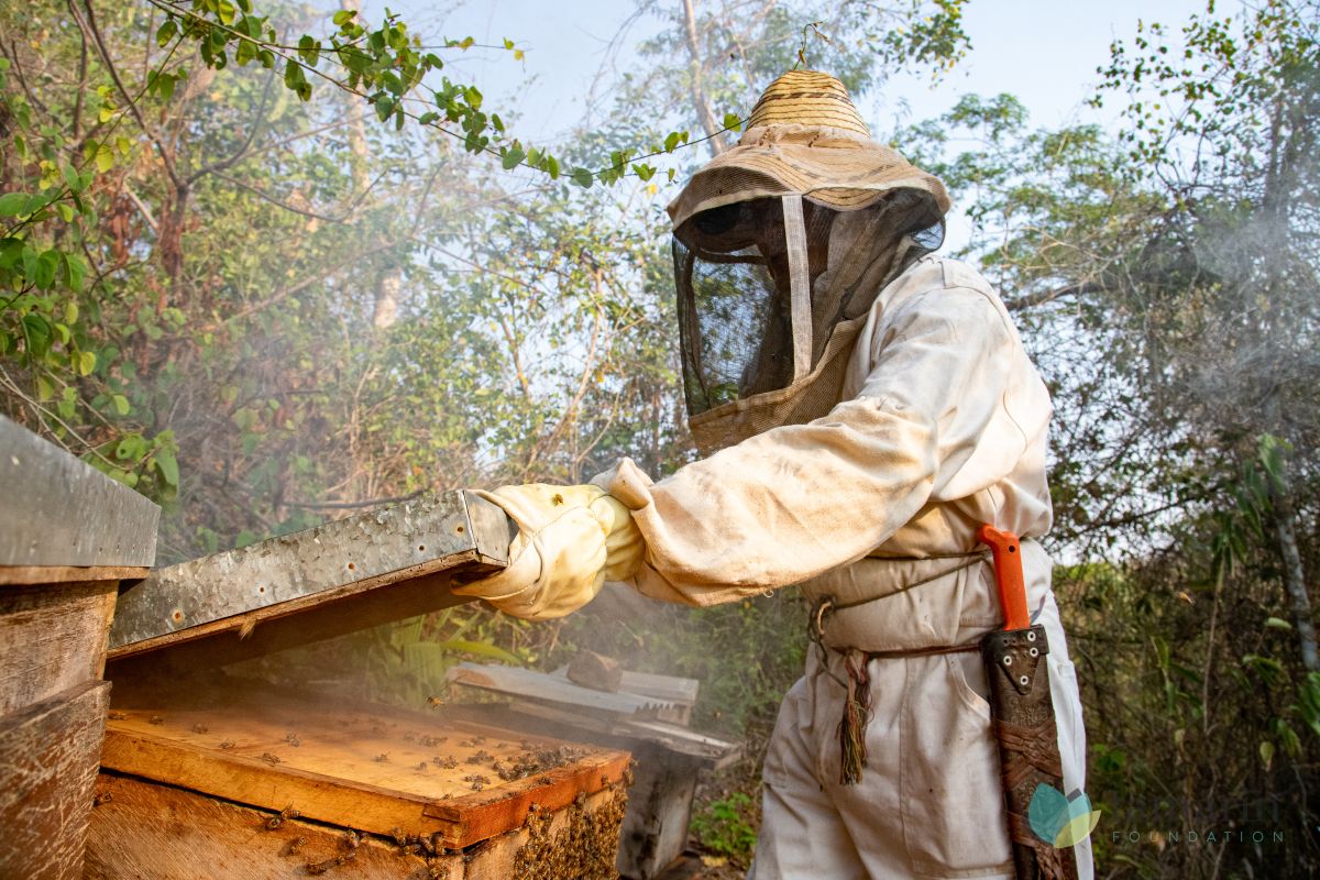 El proyecto APL trabajó en técnicas de siembra que maximizan el uso del agua y técnicas agro-forestales que mantienen la riqueza natural de los suelos, así como nuevas actividades relacionadas a la apicultura y la siembra de hortalizas.