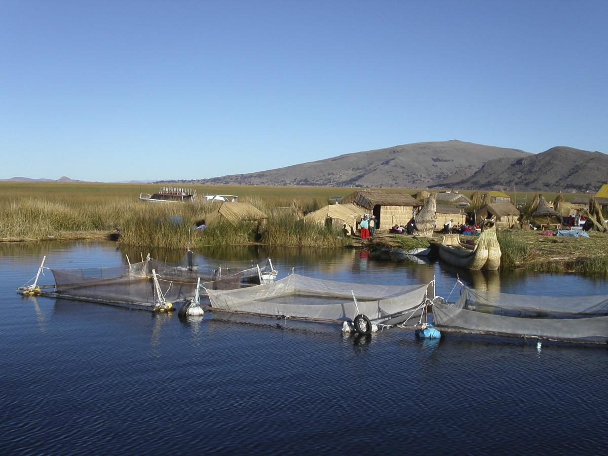 Humedales Alto-Andinos como el Lago Titicaca tiene un importante papel en el sustento de las comunidades que habitan a su alrededor.