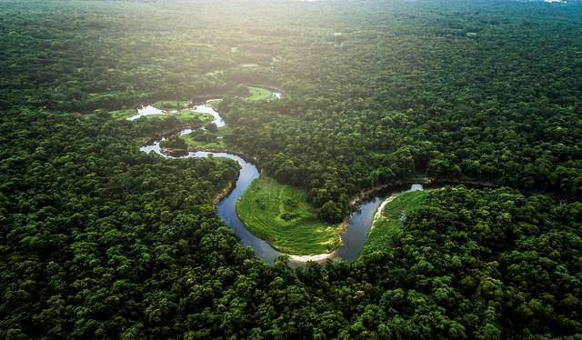 Brazil's Atlantic Forest: A lesson for the