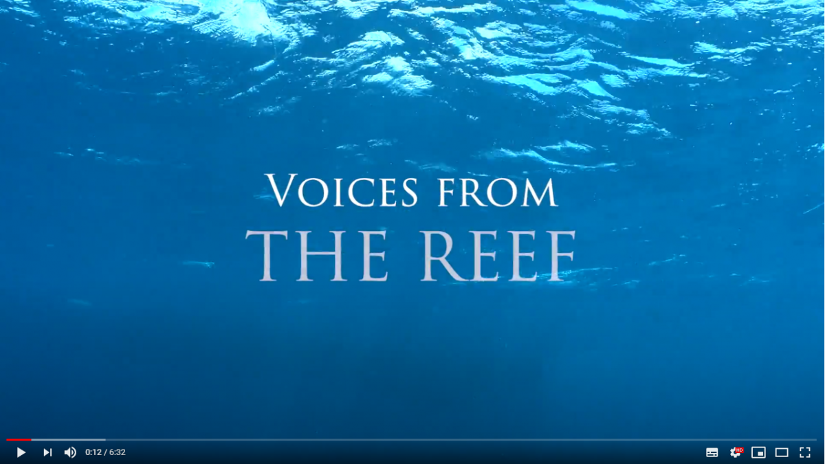 Voices from the Great Barrier Reef