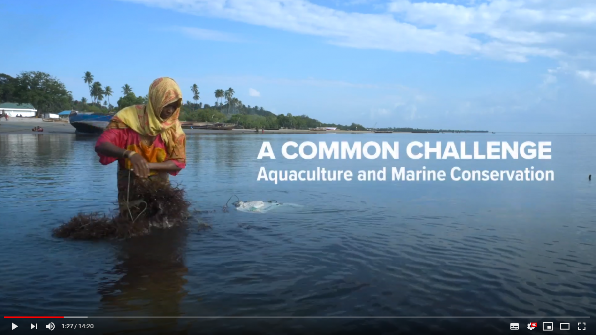 A Common Challenge - Aquaculture and Marine Conservation