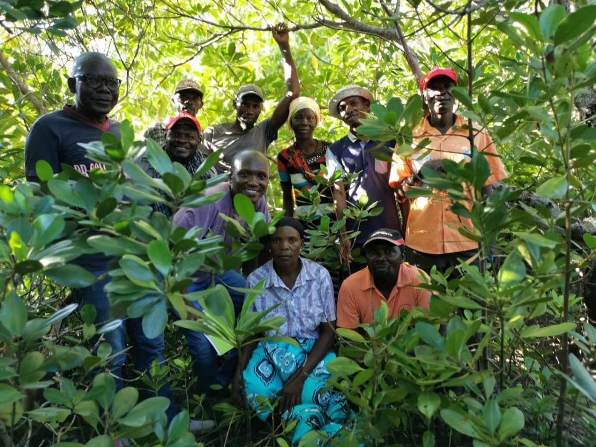 Mangroove Nursery group in Mozambique
