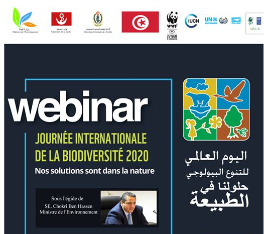 visioconference_tunisie ministere environnment journee internationale biodiversite