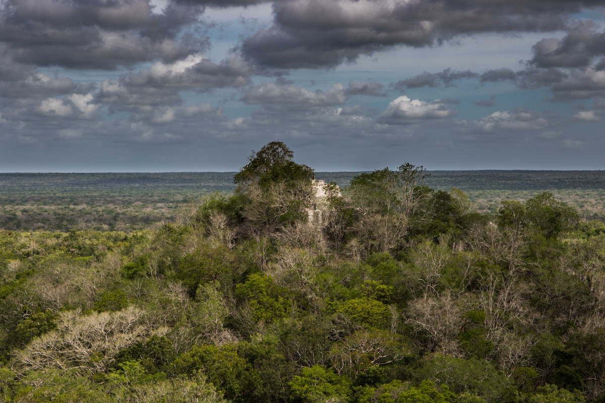 La Selva Maya es considerada el bosque tropical más extenso en Mesoamérica