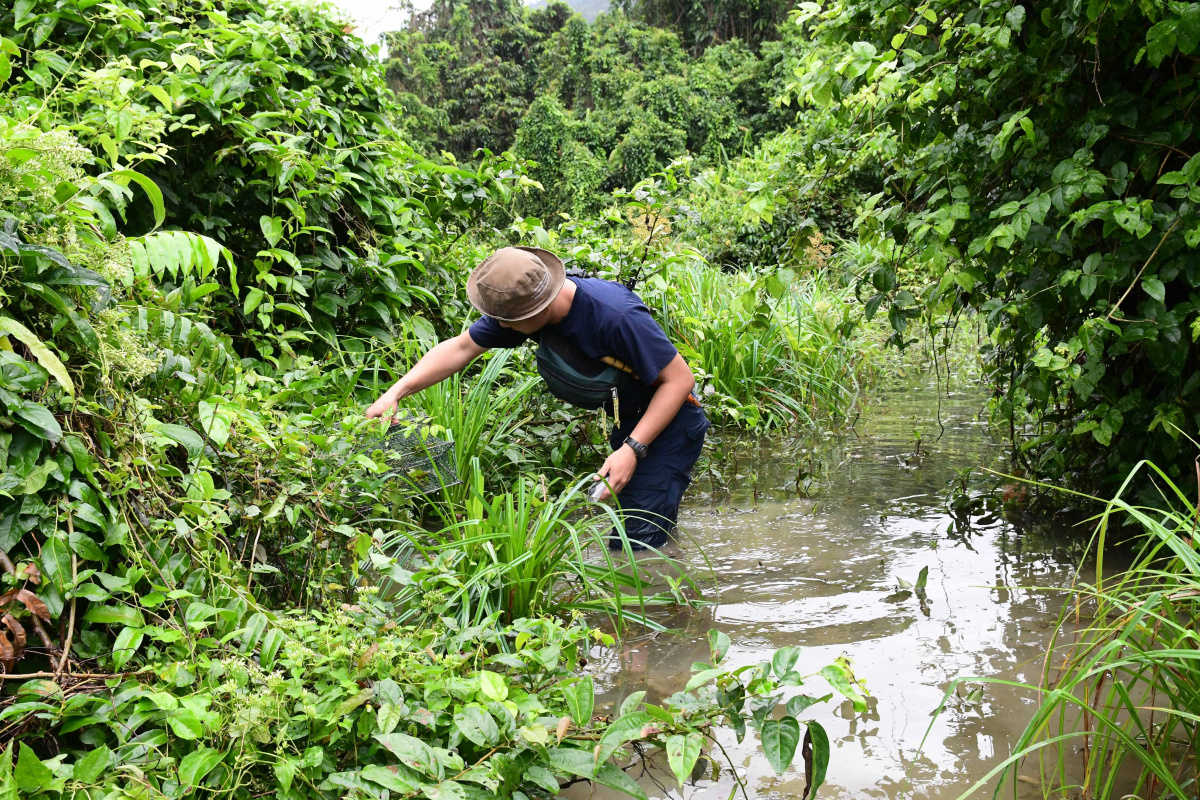 Habitat in Suoi Lanh, Hoa Thinh Com, Tay Hoa Dis, Phu Yen Province