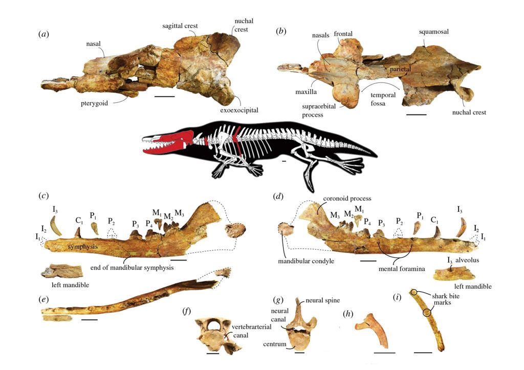 IUCN