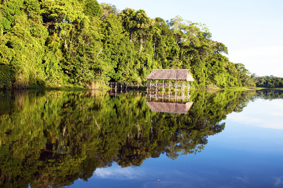 Amarakaeri Community Reserve, Peru