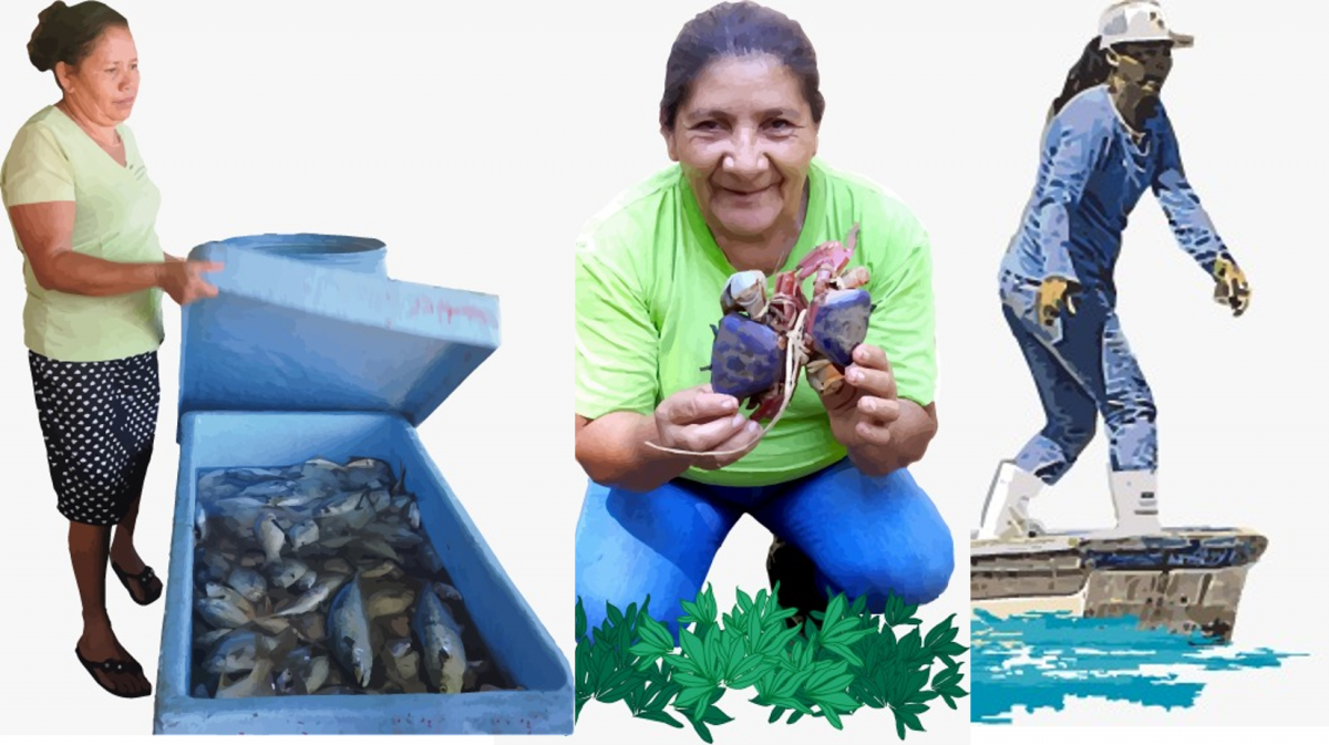 La participación de las mujeres en la pesca y acuicultura fortalece la  gestión pesquera y los indicadores de género