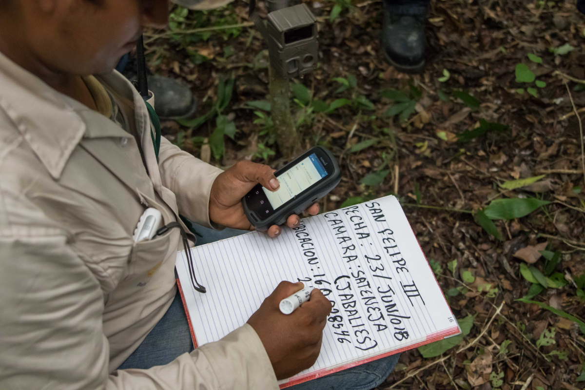 El monitoreo dentro de las áreas protegidas de la Selva Maya fue otra actividad que se fortaleció con las acciones del proyecto