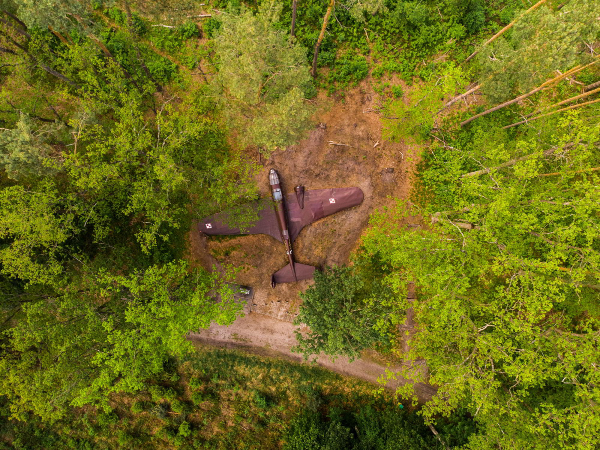 Plane wreck in forest