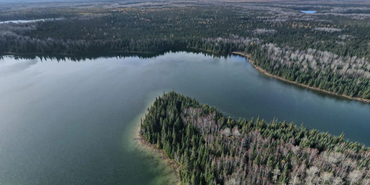 Boreal Wildlands, Ontario, Canada