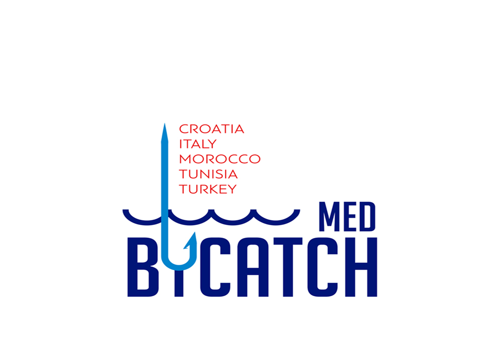 medbycatch._2_bycatch_mediterranean_biodiversity.jpg
