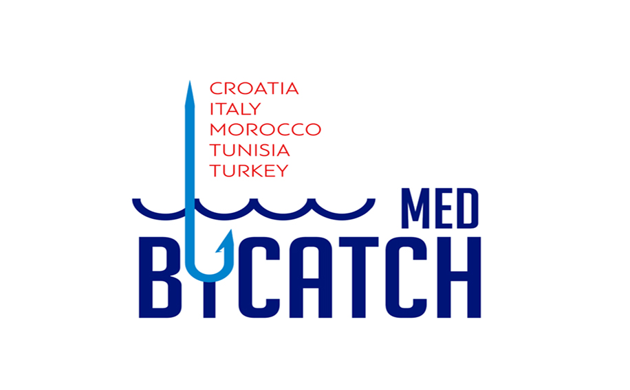 medbycatch_2_mediterranean_biodiversity.jpg