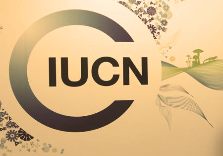 IUCN logo and flower designs