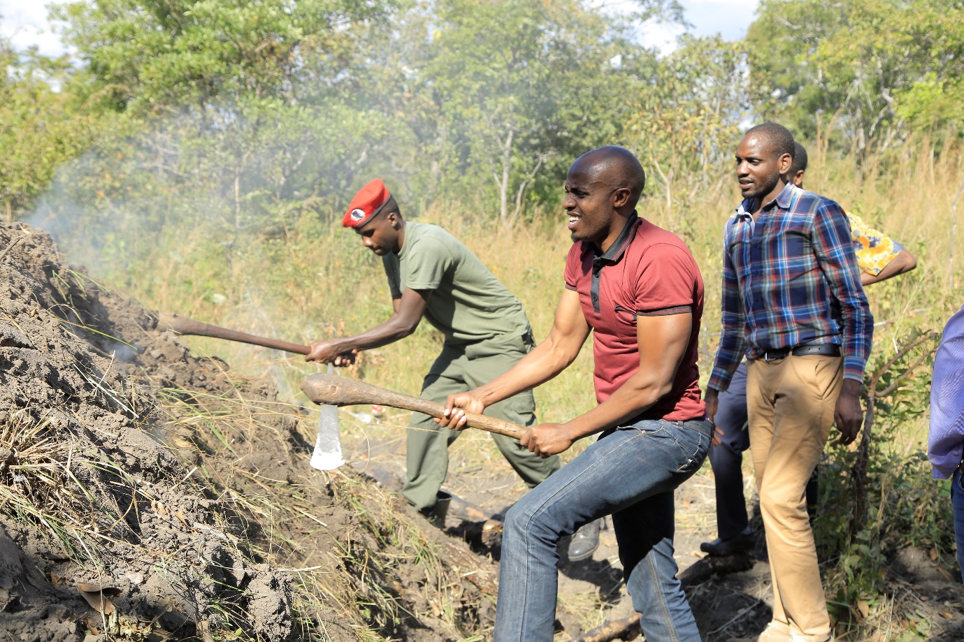 A project team demolishing a charcoal kiln spotted during a site visit in Lwafi Game Reserve