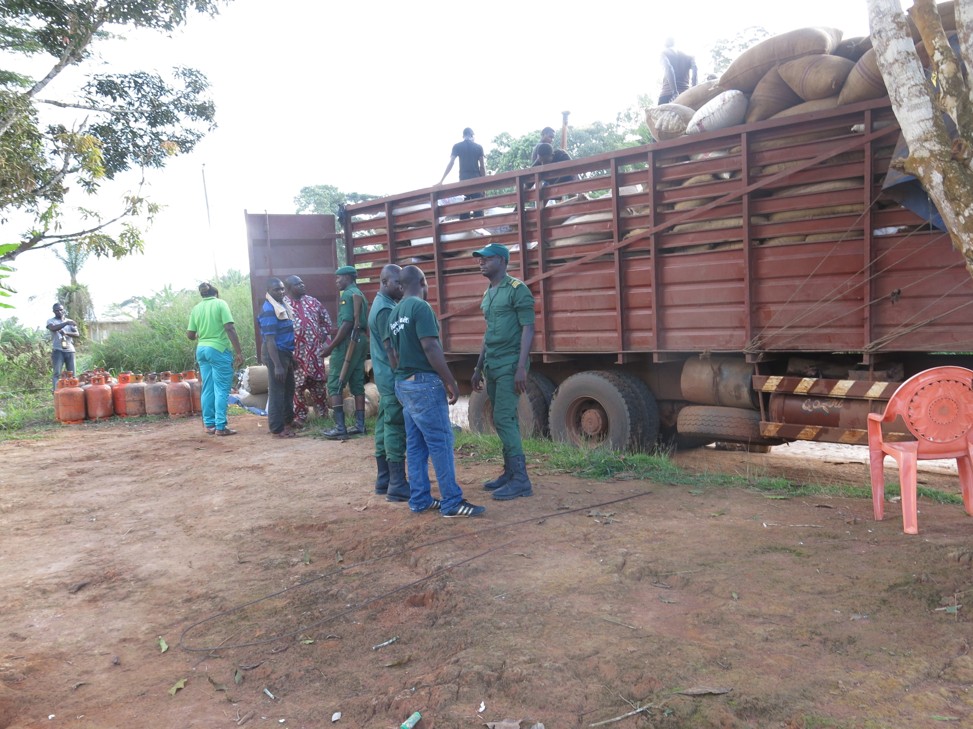 Cocoa truck hiding ivory tusk, Djoum, Cameroon