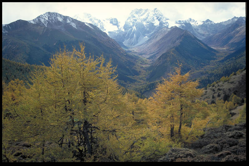 Baima snow mountains nature reserve, in the Three Parallel Rivers of Yunnan Protected Areas, China