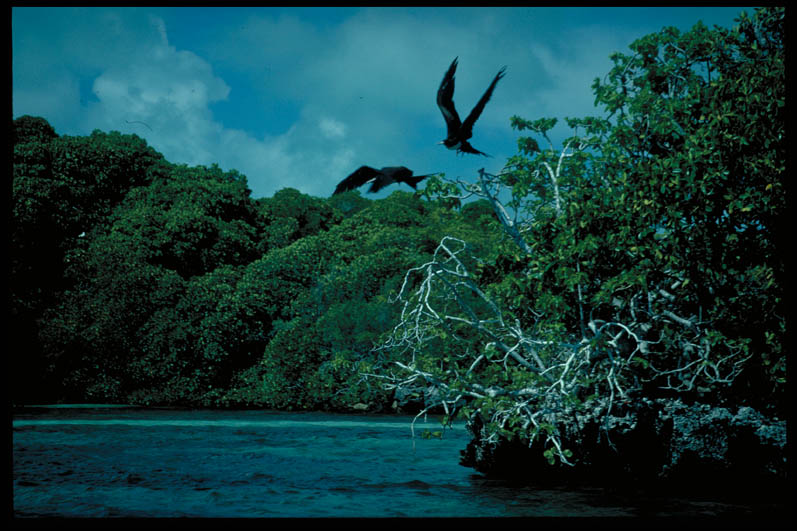 can you visit aldabra atoll