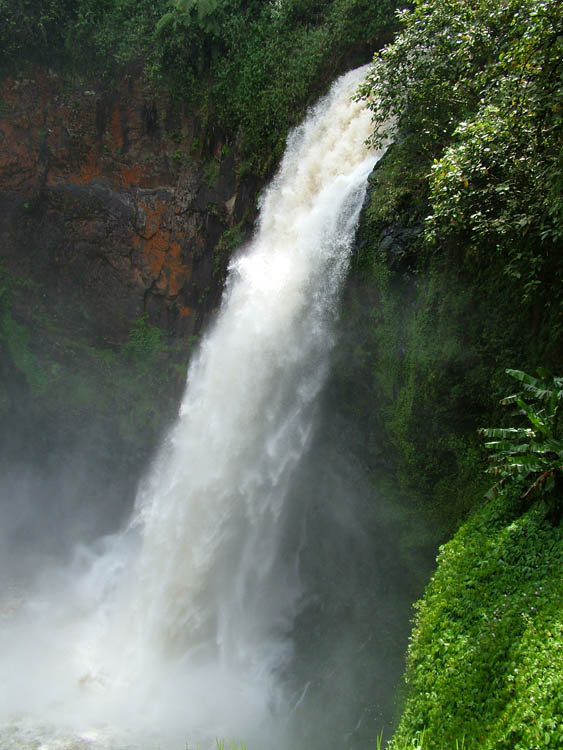 A waterfall in the Tropical Rainforest Heritage of Sumatra, Indonesia