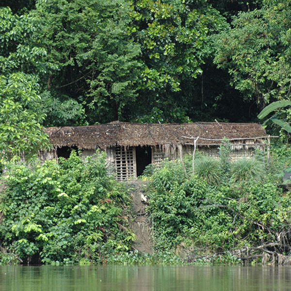 A house along the River Sangha in the TNS conservation area