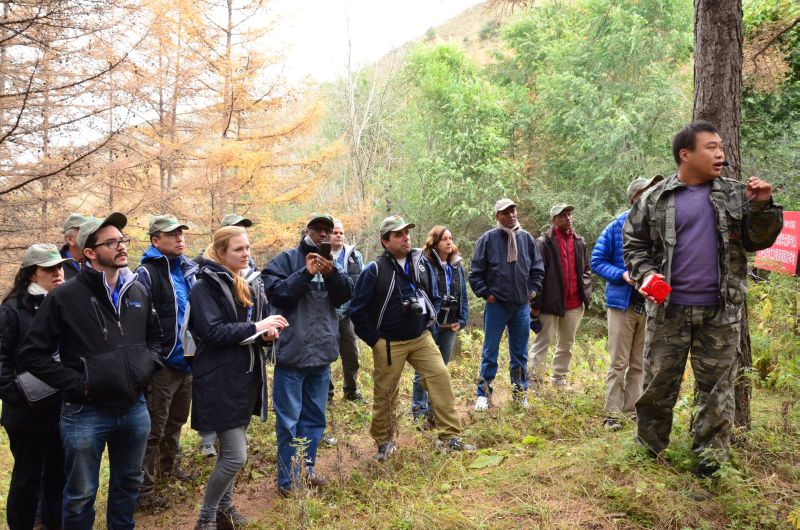 Brazilian restoration experts visited China's Loess Plateau to learn about large-scale restoration.