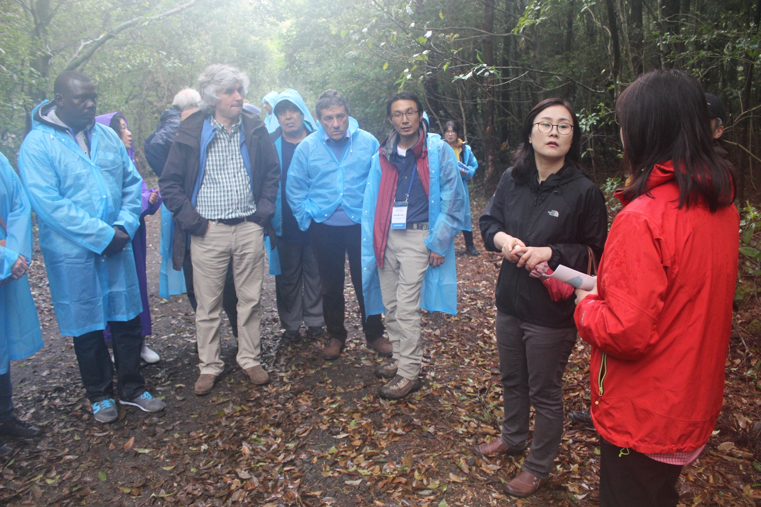 Workshop participants during a visit to “Dongbaeckdongsan (Camellia Hill)” guided by a member of the local community