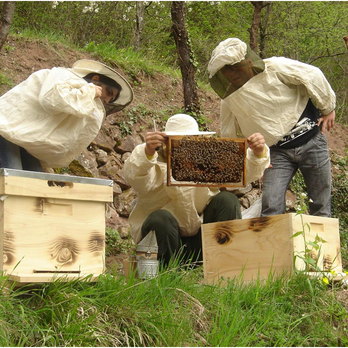 Kaçkar Mountains Artvin Yusufeli Beekeeping Activities