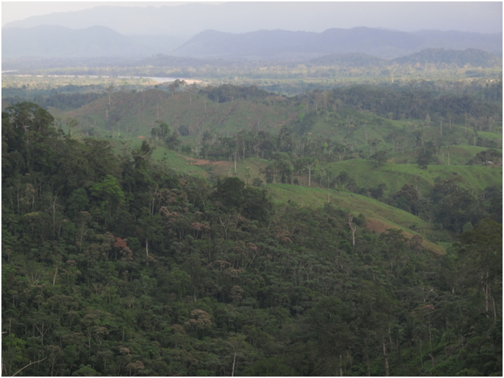 Landscape in the Sico River valley in Rio Platano. The river forms the boundary of the Buffer Zone, the forested mountains in the background are located in the Core Zone.