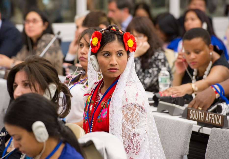 One of the delegates at the last Forum on Indigenous Issues
