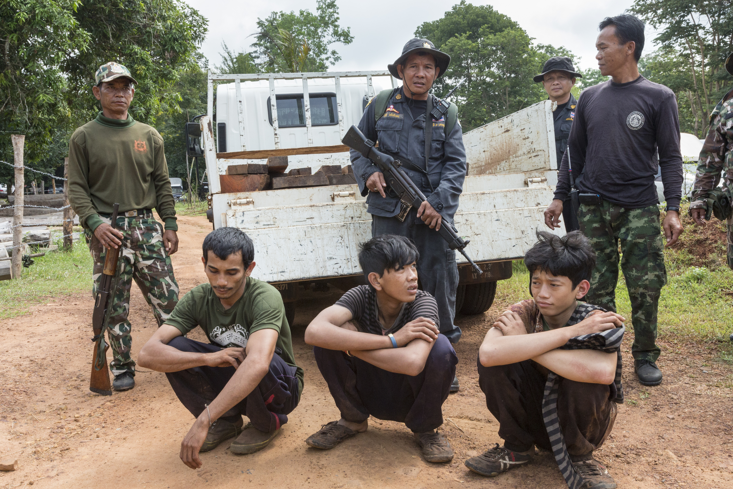 Siam rosewood poachers caught by anti-poaching patrol