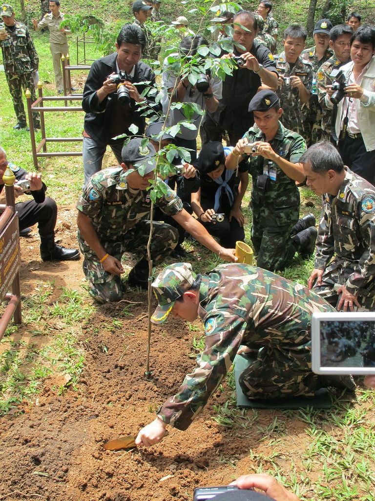 Siamese rosewood tree planting at Pangsida National Park on the World Ranger Day, Thailand