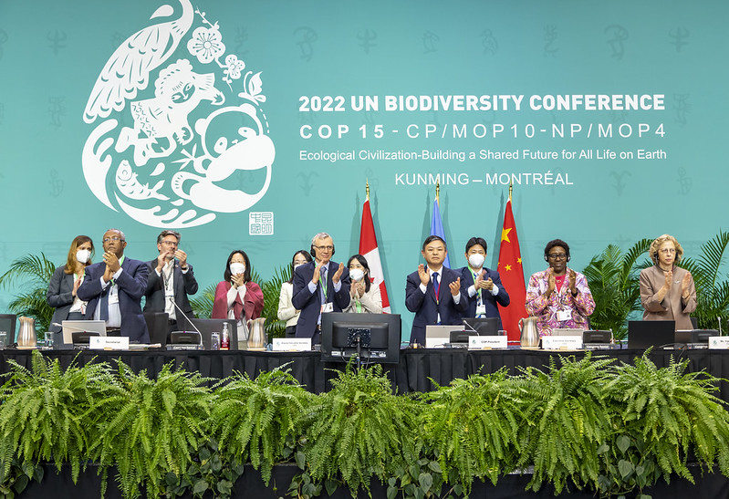 Julian Haber / Convention on Biological Diversity (CBD)