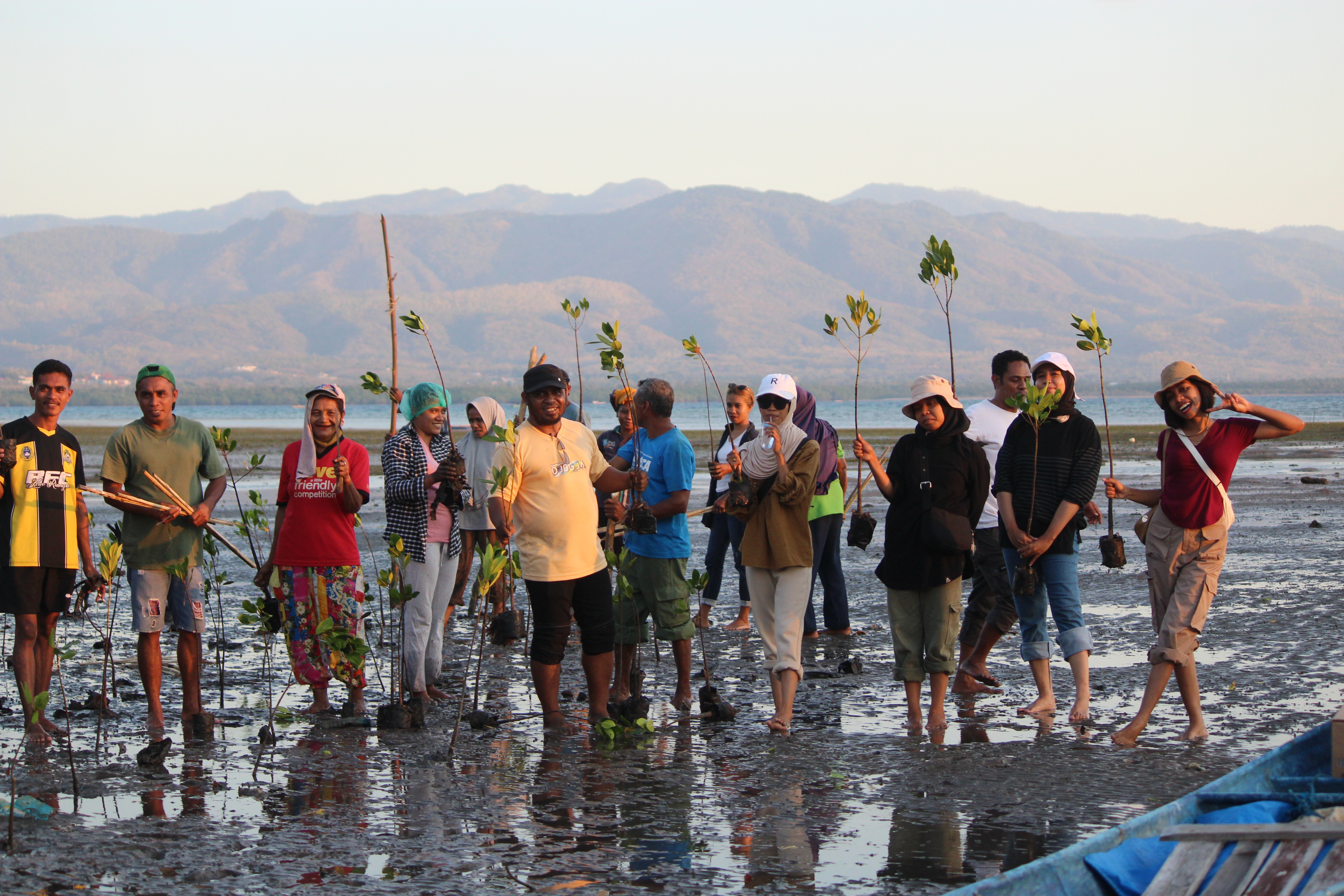 mangrove planting