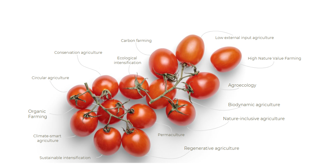 Six ways IUCN is driving action for biodiversity protection in food and agriculture systems across Europe – IUCN