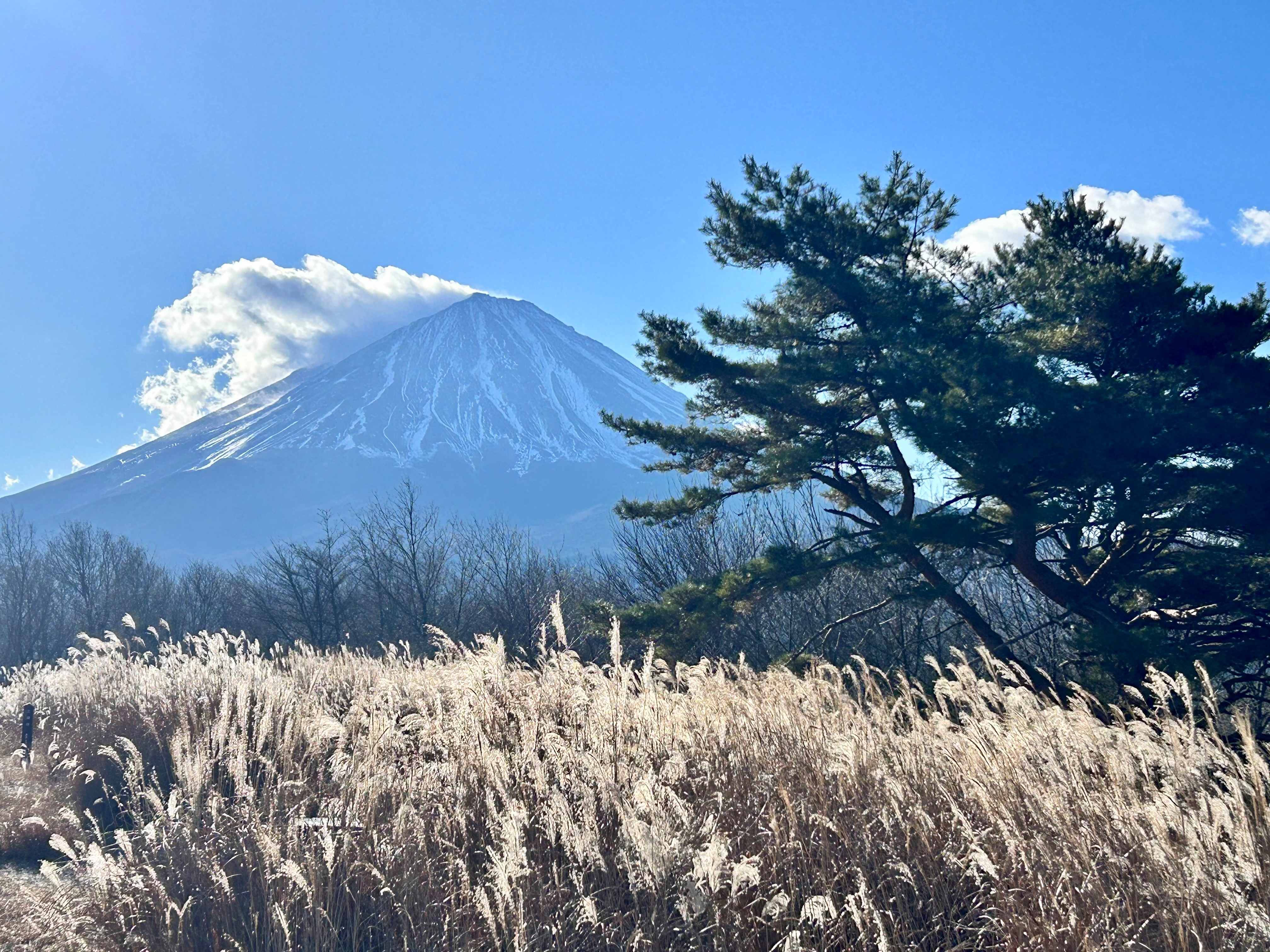 Photo: Japan's Mount Fuji © Jennifer Kelleher
