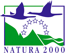 Logotipo, nombre de la empresa

Descripción generada automáticamente