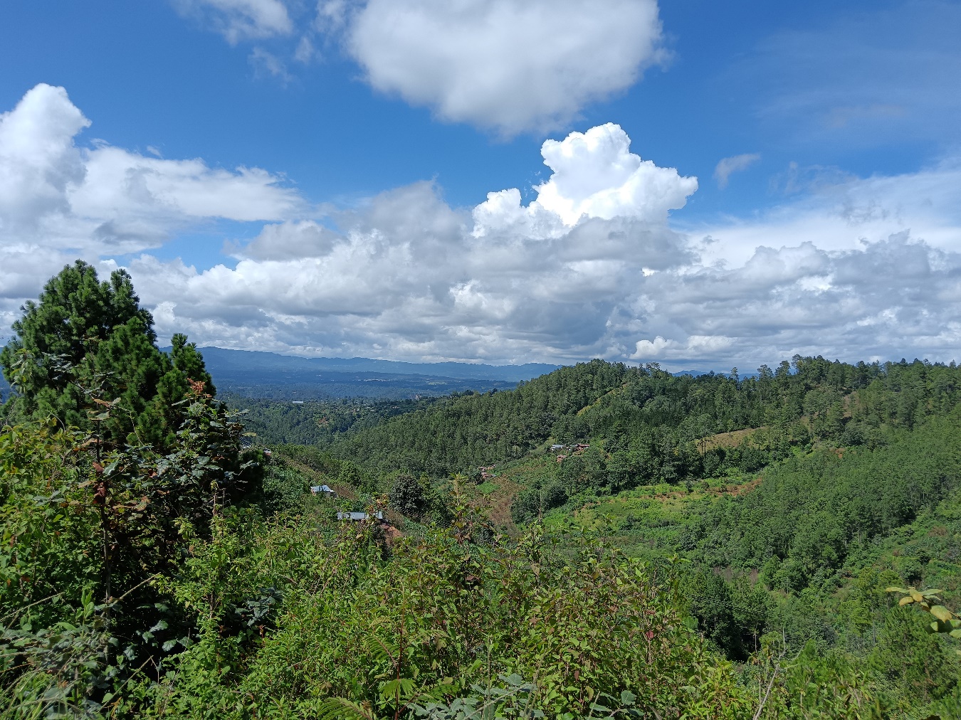 Vista de una montaña

Descripción generada automáticamente