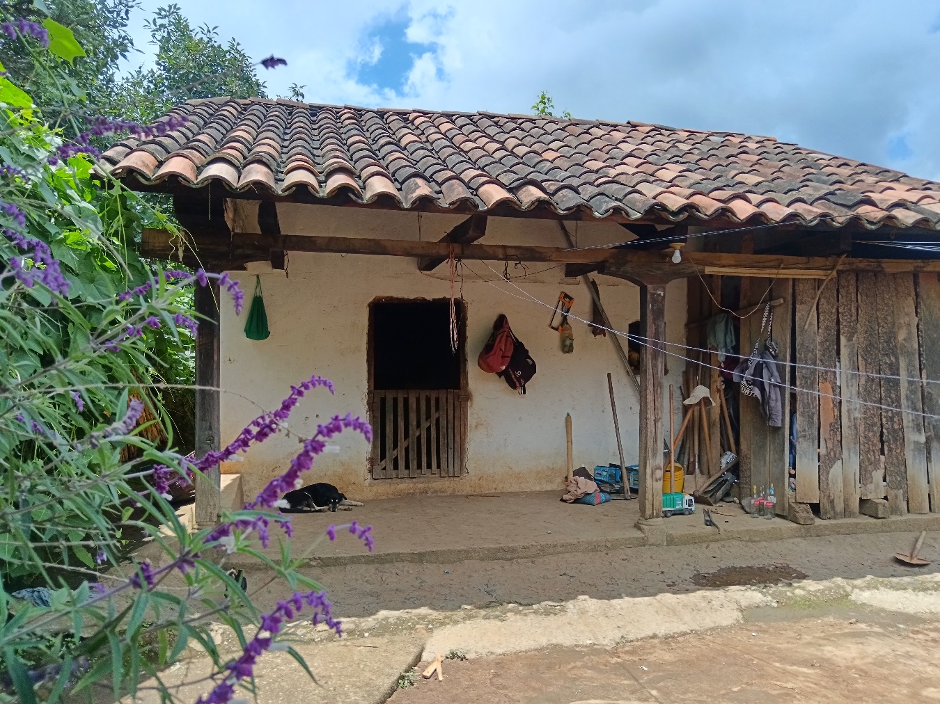Imagen que contiene edificio, exterior, casa, viejo

Descripción generada automáticamente