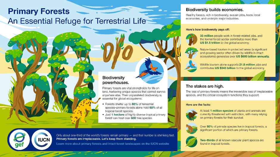 biodiversity infographic 