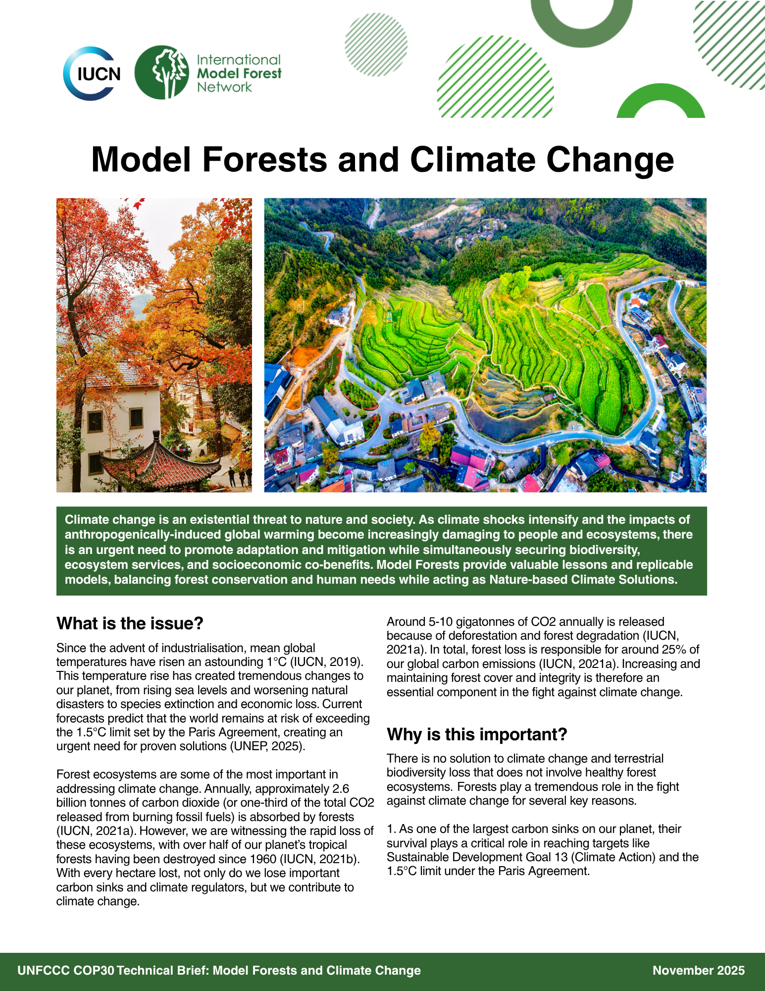 IMFN and COP30: How Model Forests are at the forefront of community-based climate action and conservation – International Union for Conservation of Nature