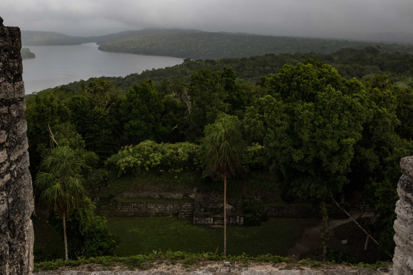 La Selva Maya es considerada el bosque tropical más extenso en Mesoamérica, 