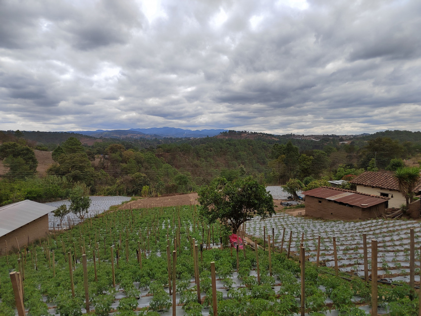 Altiplano, resilient highlands project, Guatemala